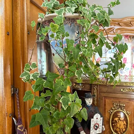 The Paradise Bird Lejlighed Katwijk aan Zee