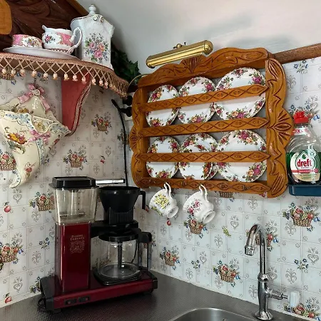 The Paradise Bird Apartment